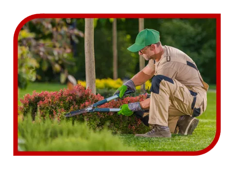 Criação de Sites para Jardineiro
