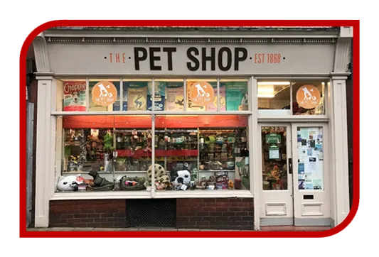 Criação de Sites para Petshop